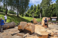 /album/fotogalerie-podjizersky-letokruh-libverdske-sochani-2026/sochani-014-jpg/